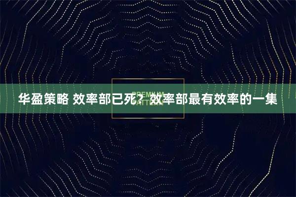 华盈策略 效率部已死？效率部最有效率的一集