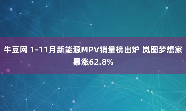 牛豆网 1-11月新能源MPV销量榜出炉 岚图梦想家暴涨62.8%
