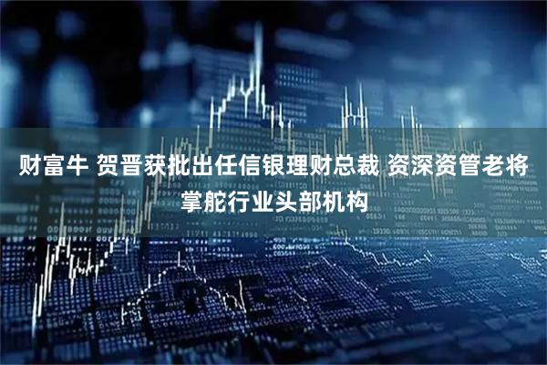 财富牛 贺晋获批出任信银理财总裁 资深资管老将掌舵行业头部机构